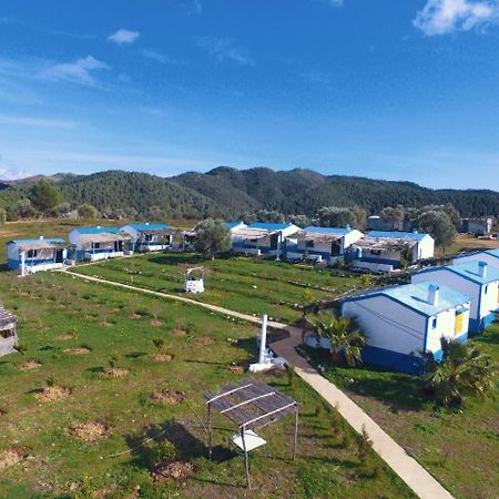 Ferma Jebala Ecolodge Kitane Экстерьер фото