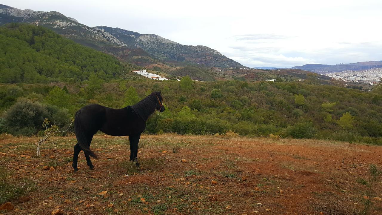 Ferma Jebala Ecolodge Kitane Экстерьер фото
