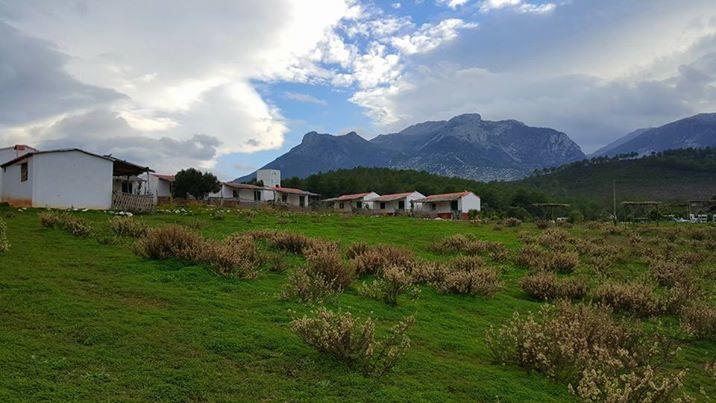 Ferma Jebala Ecolodge Kitane Экстерьер фото