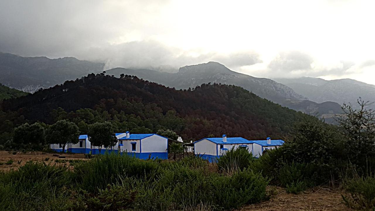 Ferma Jebala Ecolodge Kitane Экстерьер фото